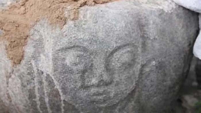 Situs megalitikum yang ditemukan warga di dalam wilayah Taman Nasional Lore Lindu (TNLL).