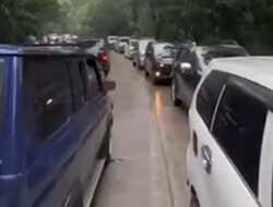 Padang Macet Parah, Bus Gagal Menanjak di Sitinjau Lauik