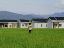 Pemerintah Tetapkan Lahan Sawah Dilindungi di 12 Provinsi untuk Perkuat Ketahanan Pangan