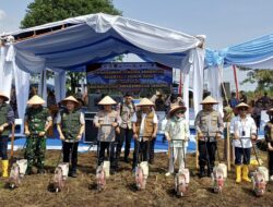 Bupati Padang Pariaman Apresiasi Kapolda Sumbar Giat Program Tanam Jagung Bangkitkan Ekonomi Rakyat