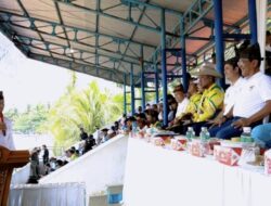 Pacu Kudo VII Koto Padang Pariaman Mengguncang Wisata Jadi Ledakan Terharu Rindu Budaya