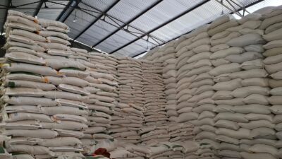 Bulog Labuhanbatu Pastikan Stok Beras dan Minyak Goreng Aman Jelang Idul Fitri