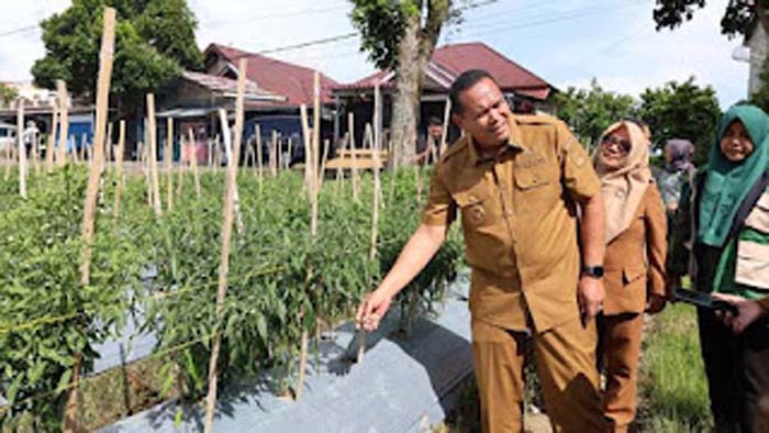 Wako Yota Balad melihat lahan kosong yang disulap jadi ladang cabe.