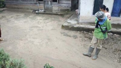 Puluhan Jejak Harimau Sumatera Muncul di Koto Sani