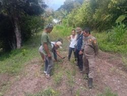 BKSDA Lakukan Penghalauan Harimau di Permukiman Solok
