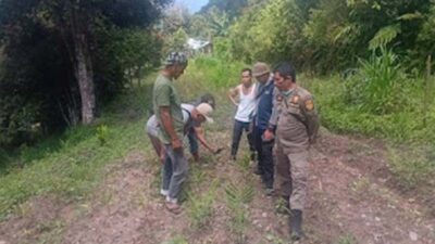 BKSDA Lakukan Penghalauan Harimau di Permukiman Solok