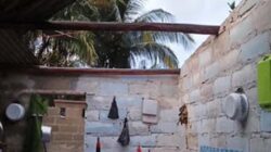 Puluhan rumah di dua desa Kabupaten Bangka Barat rusak diterjang angin kencang