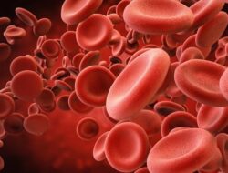 Kenali Dampak Hb Rendah, Dari Pusing hingga Jantung Berdebar