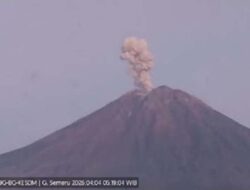 Gunung Semeru Erupsi, Kolom Abu Capai 1.000 Meter