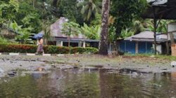 Sumbar Pagi Berawan, Siang-Sore Hujan Disertai Petir.