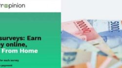Isi Survei Dibayar Dollar! Begini Fakta MetroOpinion dan Potensi Cuan dari Rumah.