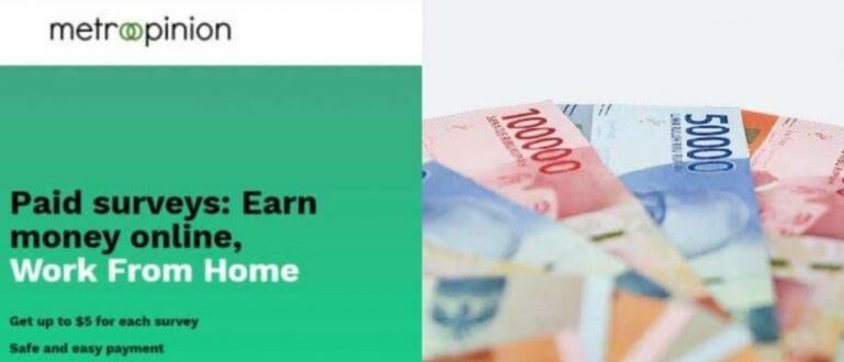 Isi Survei Dibayar Dollar! Begini Fakta MetroOpinion dan Potensi Cuan dari Rumah.