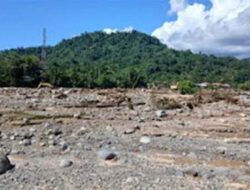 Deforestasi Indonesia Naik 66 Persen, Pakar Ingatkan Ancaman Bencana Ekologis