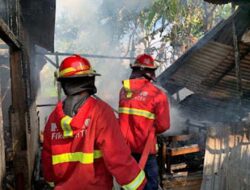 Kandang Sapi di Kuranji Padang Terbakar, Kerugian Capai Rp80 Juta