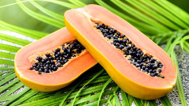 Pepaya jadi salah satu makanan yang bagus untuk kesehatan usus.
