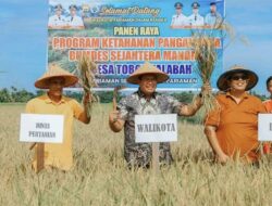Walikota Yota Balad Bangga BUMDes Sejahtera Mandiri Toboh Palabah Pariaman Panen Capai 14 Ton