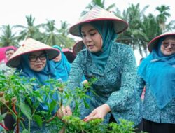 TP PKK Sumbar Lakukan Penilaian Lapangan Lomba Dasawisma Berprestasi Tingkat Provinsi di Pasaman Barat