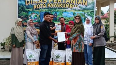 Pemko Payakumbuh Salurkan Benih Jagung, Percepat Pemulihan Pertanian Pasca Bencana Hidrometeorologi