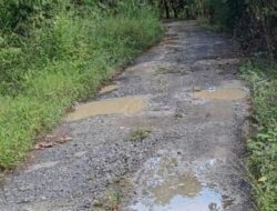 Berlumpur dan Tergenang, Akses Jalan Sei Baru Tewu Kian Memprihatinkan