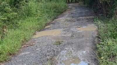 Akses Jalan Sei Baru Tewu Kian Memprihatinkan