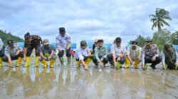 Pemprov Sumbar Siapkan Sejumlah Langkah Strategis untuk Percepat Proses Rehabilitasi Sawah Terdampak Bencana