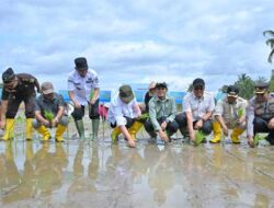 Pemprov Sumbar Siapkan Sejumlah Langkah Strategis untuk Percepat Proses Rehabilitasi Sawah Terdampak Bencana