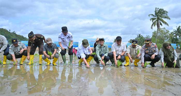 Pemprov Sumbar Siapkan Sejumlah Langkah Strategis untuk Percepat Proses Rehabilitasi Sawah Terdampak Bencana
