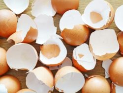 Benarkah Telur Bisa Sebabkan Bisul? Ini Penjelasan Medisnya