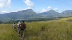 Jumlah kunjungan wisatawan ke Gunung Rinjani mencapai 1.505 orang pada libur panjang Mei 2026.