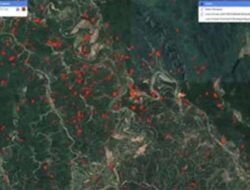 LBH Padang Ungkap 14,5 Ribu Hektare Hutan Sijunjung Hilang Akibat Dugaan Tambang Emas Ilegal