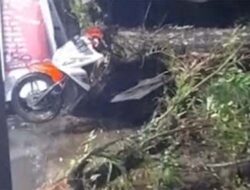Angin Kencang di Padang Tumbangkan Pohon, Satu Motor Tertimpa di Tunggul Hitam
