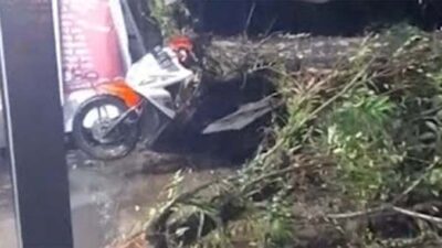 Pohon Tumbang Saat Hujan Badai di Padang, Timpa Sepeda Motor.