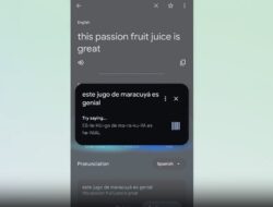Google Translate Genap 20 Tahun, Hadirkan Fitur Latihan Pengucapan Berbasis AI