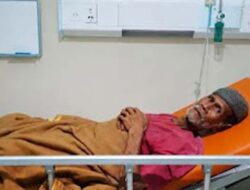 Sepuluh Hari Pencarian, Irman Ditemukan Selamat di Tengah Belantara Sumbar