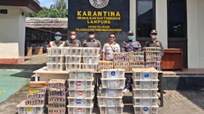 Petugas gabungan menggagalkan upaya penyelundupan ratusan satwa liar.