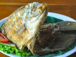 6 Ikan Rendah Kolesterol yang Aman Dikonsumsi untuk Kesehatan Jantung