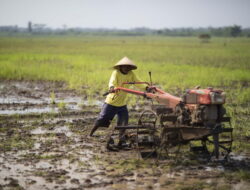 Airlangga Tinjau Industri Belarus, Perkuat Ketahanan Pangan dan Alat Berat RI
