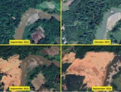 WALHI Ungkap Kerusakan Parah Tambang Emas Ilegal di Sijunjung Lewat Citra Satelit