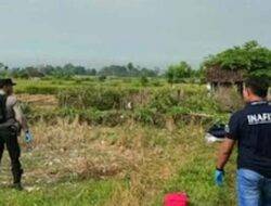Ledakan Petasan Balon Udara di Blitar Tewaskan Pemuda 23 Tahun
