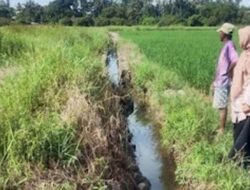 Dinas PUPR Pariaman Segera Perbaiki Empat Titik Irigasi Rusak di Pauh Timur