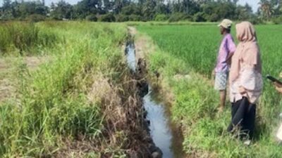 Dinas PUPR Pariaman Segera Perbaiki Empat Titik Irigasi Rusak di Pauh Timur
