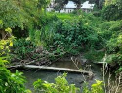 Kerusakan Sheet Pile di Batang Piaman Dekat Jembatan Jati Belum Ditangani, Kondisi Makin Mengkhawatirkan