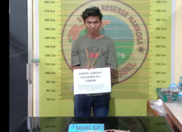 Polres Pessel Tangkap Mahasiswa Diduga Pengedar Ganja Kering.