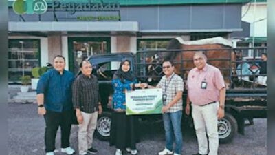 Sambut Idul Adha 1447 H, Pegadaian Padang Salurkan 3 Sapi dan 7 Kambing Kurban