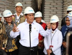 Stok Beras Nasional Melimpah, Mentan Andi Amran Sulaiman Pastikan Gudang Bulog Penuh