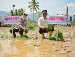 Pemerintah Percepat Pemulihan Lahan Terdampak Bencana dan Antisipasi Kekeringan Melalui Gerakan Tanam Serempak 50 Ribu Hektare
