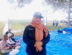 Panen Jagung Hibrida di Sei Asam Berlangsung Semarak, Meihewuyatini Dorong Petani Kapuas Lebih Produktif