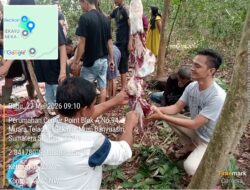 DPD-LAN Musi Banyuasin Laksanakan Penyembelihan Hewan Qurban