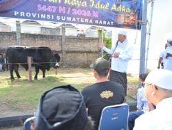 Gubernur Mahyeldi Hadiri Penyembelihan Sapi Kurban Bantuan Presiden RI di Masjid Raya Syekh Khatib Al-Minangkabawi