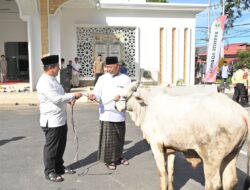 Gubernur Mahyeldi Serahkan Hewan Kurban ke Pengurus Masjid Baitul Auliya Kantor Gubernur